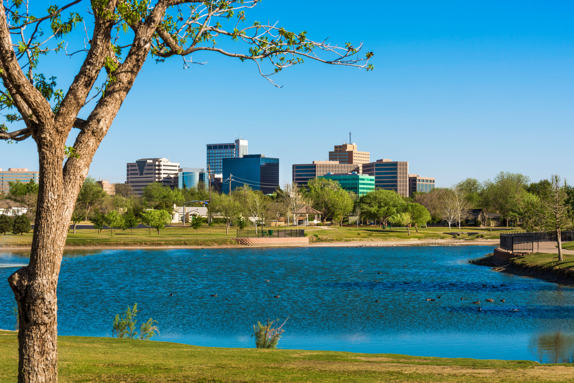 View of Midland, TX skyline from the lake