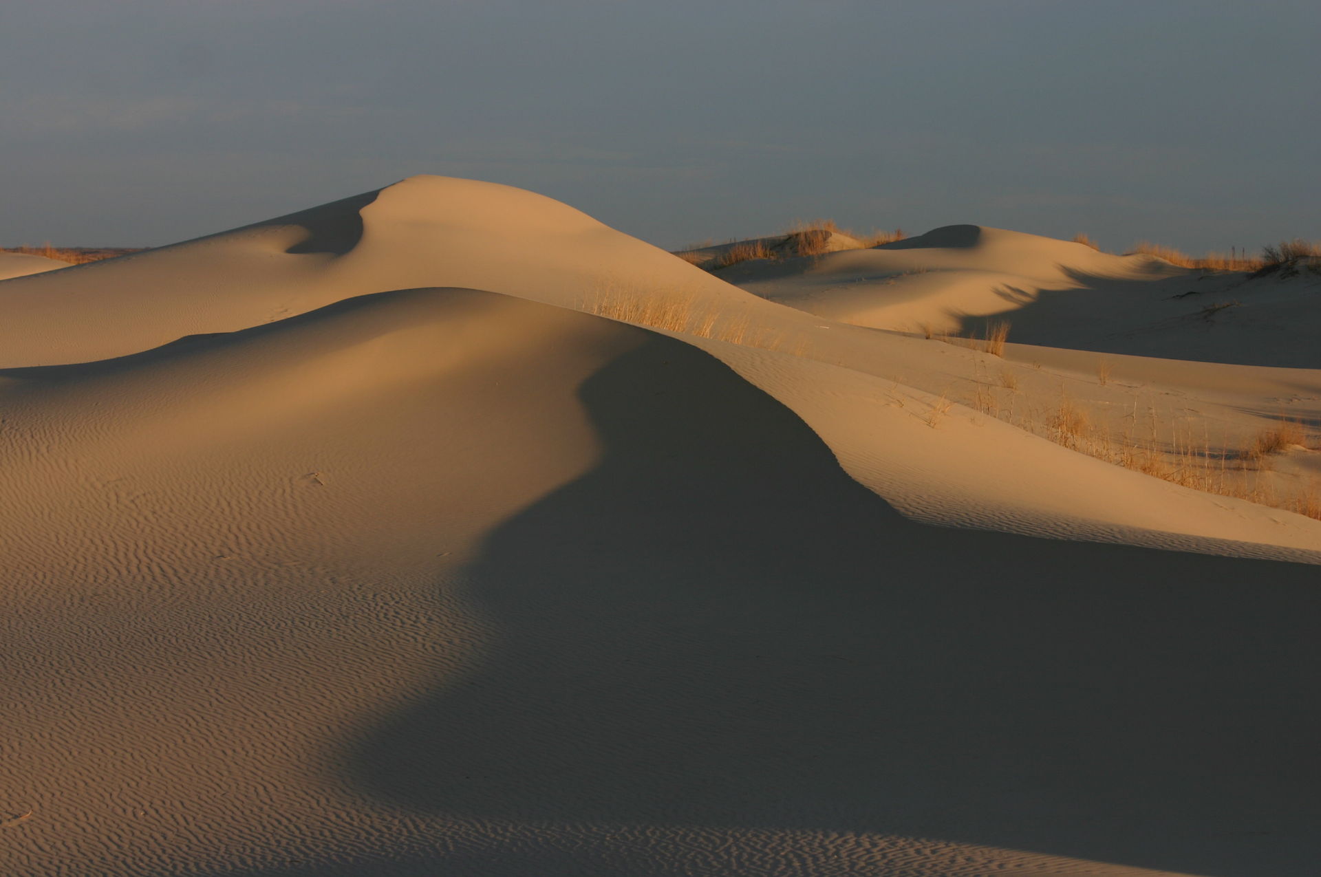 Sand dunes on an overcast day at Monahans Sandhills State Park